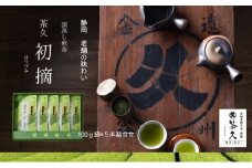 [№5695-2053]茶久 煎茶初摘100ｇ×5本 化粧箱入り お茶 煎茶 初摘 深蒸し オススメ お湯出し 水出し  贈答品 箱入り ギフト