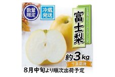 【数量限定】希少 富士梨3kg フルーツ くだもの 冷蔵配送 梨 旬のフルーツ 梨　（a1016)