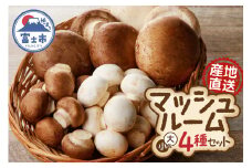 長谷川農産の美味しいマッシュルームセット 無農薬・無漂白栽培 ホワイト種(大×2個、小×1パック) ブラウン種(大×4個、小×1パック) 富士山麓 マッシュルームファーム 産地直送 高品質 きのこ キノコ ギフト 長谷川農産 静岡県 富士市 野菜 [sf002-005] 