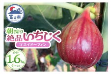 【8月頃から順次発送予定】朝採り 絶品 いちじく (マスイドーフィン) 400g × 4パック 国産 ご当地 富士山 お取り寄せ 限定 減農薬 減肥料 安心 安全 高品質 生食 ジャム 富士市 果物 フルーツ(a1212)