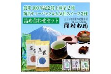 特上煎茶 2種(各100g) ティーバッグ 5g×30袋 羊羹 3種(各1個) 詰合せセット こだわり ギフト プレゼント 贈答 和菓子 和スイーツ 富士山麓 富士のやぶ北茶 静岡茶 お茶葉 老舗 大正5年創業 村松園 富士市 [sf002-221]