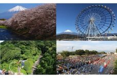 宿泊券「富士市ホテル旅館組合 宿泊ギフト券」 1枚 富士市 チケット(1238)