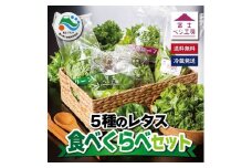 レタス 5種類×2株セット 【富士山の伏流水で農薬を使わず育てた新鮮レタス】安心 安全 農薬不使用 富士市 野菜(1517)