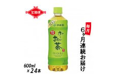 定期便 6回 「お～いお茶」 緑茶PET 600ml×24本 富士市 飲料類 お茶類(1908)