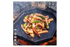 梅鋳鉄板 鉄二 鋳鉄職人が追求して生まれたこだわりのソロキャン用のコンパクト鋳物製鉄板（1928）