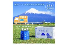 ［定期便6ヶ月］ミネラルウォーター 「富士登山水」 500ml×24本入 酸素ナノバブル 水 バナジウム 富士山 登山サポート飲料水 富士山の伏流水 ミネラルウォーター バナジウム 富士山 酸素ナノバブル ナノスイカンパニー 富士市 飲料水 [sf025-003]