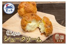 極みのシュークリーム 6個 おやつ お菓子 スイーツ デザート サクサク クッキー生地 トロトロ クリーム 産みたてたまご 冷凍発送 個包装 静岡県 富士市 [sf080-001]
