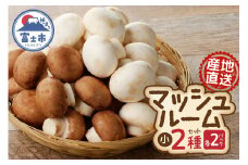 マッシュルーム 産地直送 長谷川農産 小×4パック セット 新鮮 2種 ホワイト ブラウン 最新栽培技術 無農薬 無漂白 生でも食べられる ビタミン たんぱく質 きのこ キノコ 静岡県 富士市 野菜 [sf002-352]