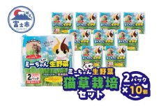 猫草栽培セット ミーちゃんスッキリ 生野菜 2パック×10個 ねこくさ 毛玉対策 猫 ペット ペット用品 お手入れ用品 植物 富士市 [sf002-386]