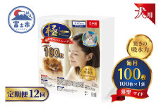 定期便 12回 ペットシーツ 【極】シリーズ 薄型ワイド 100枚 ペット用 犬用 猫用 トイレシーツ 日用品 ペット用品 防災 備蓄 消耗品 ドッグ キャット わんちゃん ねこちゃん 静岡県 富士市 [sf077-139]