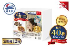 定期便 12回 ペットシーツ 【極】シリーズ 薄型スーパーワイド 40枚 ペット用 犬用 猫用 トイレシーツ 日用品 ペット用品 防災 備蓄 消耗品 ドッグ キャット わんちゃん ねこちゃん 静岡県 富士市 [sf077-141]