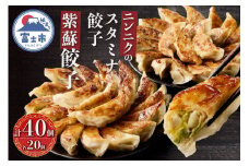 紫蘇餃子 スタミナ餃子 各20個(計40個) セット ギョーザ しそ ニンニク おかず おつまみ 食べ比べ 特製 中華 食品 冷凍発送 富士市 [sf001-223]