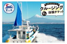 クルージング スタンダードコース 体験チケット 9人 クルーズツアー 土日のみ 年末年始受付可能 富士山の壮大な景色 雄大な自然 田子の浦港 隆真丸 完全貸し切り 一生の思い出 静岡県 富士市 [sf001-204]