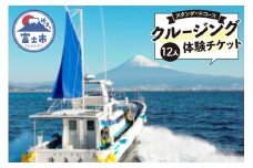 クルージング スタンダードコース 体験チケット 12人 クルーズツアー 土日のみ 年末年始受付可能 富士山の壮大な景色 雄大な自然 田子の浦港 隆真丸 完全貸し切り 一生の思い出 静岡県 富士市 [sf001-184]