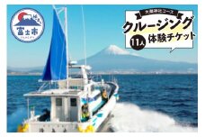 クルージング 大瀬神社コース 体験チケット 11人 クルーズツアー 土日のみ 年末年始受付可能 富士山の壮大な景色 雄大な自然 田子の浦港 隆真丸 完全貸し切り 一生の思い出 静岡県 富士市 [sf001-190]