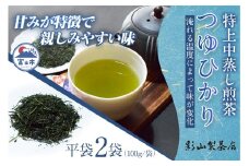 初摘み 中蒸し 特上煎茶 つゆひかり 100g袋×2袋 2袋セット 影山製茶店 特上 煎茶 緑茶 深蒸し 特別な品種 新鮮 甘み濃いめ 渋み少なめ 水出し 濃厚 ティータイム おもてなし リラックス 手土産 富士市 [sf001-276]