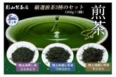 特上煎茶 さえみどり つゆひかり やぶきた 3袋セット (3種×各100g袋) お茶 影山製茶店 特上 煎茶 緑茶 甘み濃いめ 渋み少なめ 水出し ティータイム おもてなし リラックス 手土産 富士市 [sf001-278]