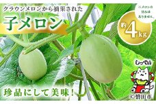 クラウンメロンの子メロン　約4kg_ 子メロン 摘果メロン 摘果 メロン めろん クラウンメロン 約4kg 漬け物 漬物 お漬物 つけもの 浅漬け サラダ 青果 果物 くだもの フルーツ 産直 産地直送 静岡県 送料無料 【1416447】