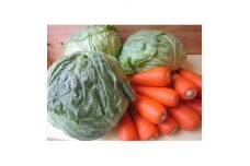 静岡県産キャベツ4kgとニンジン1.5kgセット＜11月下旬より順次発送＞【1418094】