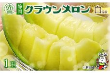 ＼磐田市大人気メロン／_＜通年出荷＞クラウンメロン(白等級) 1玉 化粧箱入_ メロン マスクメロン 静岡県 磐田市 フルーツ 果物 厳選 高級 人気 デザート ギフト プレゼント 贈り物 送料無料 【1416424】