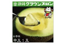＜通年出荷＞クラウンメロン(白等級)中玉　1玉　化粧箱入_ メロン クラウンメロン めろん クラウン 化粧箱 果物 くだもの フルーツ 甘い デザート 産直 産地直送 贈答 ギフト プレゼント 静岡県 送料無料 【1416430】