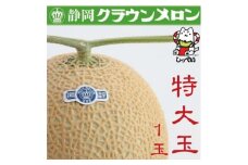 ＜通年出荷＞クラウンメロン(白等級)特大玉　1玉　化粧箱入_ メロン クラウンメロン めろん 化粧箱 1玉 果物 くだもの フルーツ 甘い デザート 産直 産地直送 贈答 ギフト プレゼント 静岡県 送料無料 【1416433】