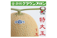 ＜通年出荷＞クラウンメロン(白等級)特大玉　1玉　化粧箱入_ メロン クラウンメロン めろん 化粧箱 1玉 果物 くだもの フルーツ 甘い デザート 産直 産地直送 贈答 ギフト プレゼント 静岡県 送料無料 【1416433】