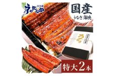 浜名湖・うなぎのたなかの長蒲2本ギフト!ふっくら柔らか♪国産うなぎ長蒲焼※合計360g程度_ウナギ 鰻 うなぎ かば焼き 蒲焼き 人気 美味しい 国産 浜名湖 産地直送 個包装 ギフト 贈答 専門店 冷凍 おすすめ【1417592】