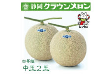 ＜通年出荷＞クラウンメロン(白等級)中玉　2玉　化粧箱入_ メロン クラウンメロン めろん クラウン 化粧箱 果物 くだもの フルーツ 甘い デザート 産直 産地直送 贈答 ギフト プレゼント 静岡県 送料無料 【1416431】