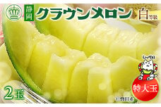 ＜BIGサイズ＞クラウンメロン(白等級)特大玉　2玉＜通年出荷＞　化粧箱入_ メロン クラウンメロン めろん 大玉 化粧箱 果物 くだもの フルーツ 甘い 贈答 ギフト プレゼント 産地直送 静岡県 送料無料 【1416434】