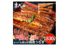 浜名湖・うなぎのたなかのふっくら柔らか国産うなぎ!長蒲焼4本、カット(小)2枚※合計830g程度_ウナギ 鰻 うなぎ かば焼き 蒲焼き 人気 美味しい 国産 浜名湖 産地直送 個包装 ギフト 贈答 専門店 おすすめ【1417596】
