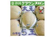 ＜通年出荷＞クラウンメロン(白等級)大玉　5玉入【1416432】