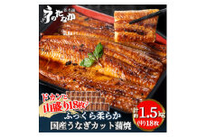 浜名湖・うなぎのたなかのドカンと山盛り18枚♪ふっくら柔らか国産うなぎカット蒲焼※合計1.5kg程度_ ウナギ 鰻 うなぎ かば焼き 蒲焼き 人気 美味しい 国産 浜名湖 産地直送 個包装 ギフト 贈答 専門店 【1417634】