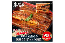 浜名湖・うなぎのたなかのドカンと山盛り10枚♪ふっくら柔らか国産うなぎカット蒲焼※合計900g程度_ ウナギ 鰻 うなぎ かば焼き 蒲焼き 人気 美味しい 国産 浜名湖 産地直送  小分け 個包装 ギフト 贈答 専門店 【1417600】