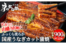 浜名湖・うなぎのたなかのドカンと山盛り10枚♪ふっくら柔らか国産うなぎカット蒲焼※合計900g程度_ ウナギ 鰻 うなぎ かば焼き 蒲焼き 人気 美味しい 国産 浜名湖 産地直送  小分け 個包装 ギフト 贈答 専門店 【1417600】