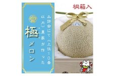 ＜極みの逸品＞クラウンメロン　極(山等級)1玉　＜桐箱入＞【1416439】