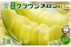 ＜通年出荷＞クラウンメロン(白等級)小玉　1玉　化粧箱入_ メロン めろん マスクメロン フルーツ 果物 くだもの 化粧箱 ギフト 贈り物 プレゼント 人気 美味しい ふるさと 【1416428】
