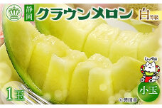 ＜通年出荷＞クラウンメロン(白等級)小玉　1玉　化粧箱入_ メロン めろん マスクメロン フルーツ 果物 くだもの 化粧箱 ギフト 贈り物 プレゼント 人気 美味しい ふるさと 【1416428】