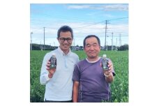 高級煎茶　ICHIE　CHA 12本入り シングルオリジン ペットボトル高級緑茶　静岡磐田市産【1419401】