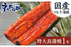 浜名湖・うなぎのたなかの長蒲焼1本!ふっくら柔らか♪国産うなぎ長蒲焼※合計180g程度【1417602】