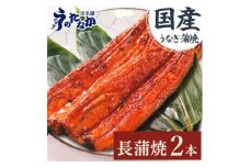 浜名湖・うなぎのたなかのふっくら柔らか♪国産うなぎ見た目も美しい長蒲焼2本※合計180g程度_ うなぎ 鰻 ウナギ 国産 蒲焼き 蒲焼 人気 美味しい ふるさと 【1417607】