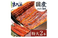 浜名湖・うなぎのたなかの長蒲焼2本セット!ふっくら柔らか♪国産うなぎ長蒲焼※合計360g程度【1417614】