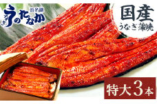 浜名湖・うなぎのたなかの長蒲焼3本セット!ふっくら柔らか♪国産うなぎ長蒲焼※合計540g程度【1417629】