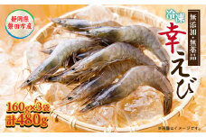 地球に優しい国産エビ　冷凍「幸えび」160g×3袋(合計480g)静岡県磐田市産_ エビ えび 海老 シロアシエビ 国産 冷凍 真空パック 真空包装 有頭 甘い 刺身 素揚げ パスタ 魚介類 贈答 ギフト プレゼント 静岡県 送料無料 【1417712】