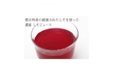 無添加しそジュース500ml×6本_ ジュース しそジュース 紫蘇ジュース 濃縮 濃縮タイプ 加糖 飲料 飲み物 ドリンク 赤しそ 赤紫蘇 しそ シソ 紫蘇 無添加 6本 炭酸 焼酎 牛乳 静岡県 磐田市 家庭用 ギフト プレゼント 送料無料 【1417019】