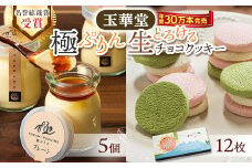 ＜名誉総裁賞受賞＞とろける玉華堂の極ぷりん5個&静岡とろける生チョコクッキー12枚入【1426836】