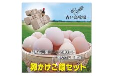 純系名古屋コーチン卵40個入り　卵かけご飯セット_ たまご 玉子 タマゴ 鶏卵 たまごかけご飯 卵かけご飯 まとめ買い 朝食 朝ごはん ふるさと 【1427144】
