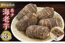 磐田特産海老芋　約3kg【1429098】