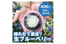 ＜令和7年5月 順次発送＞完熟ブルーベリー生果実・400g　静岡県磐田市産【1444671】
