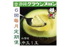 ＜毎月定期便＞クラウンメロン(白等級)中玉1玉・6ヵ月毎月お届け全6回_ クラウンメロン メロン フルーツ 果物 くだもの 静岡県 マスクメロン 常温 人気 おすすめ 送料無料 贈答 ギフト 化粧箱 【4003101】